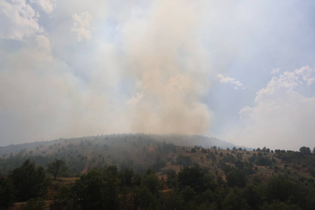 Elazığ'da orman yangını 14